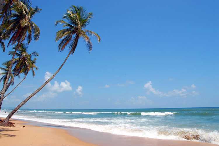 Serene beaches-Goa-fnbworld