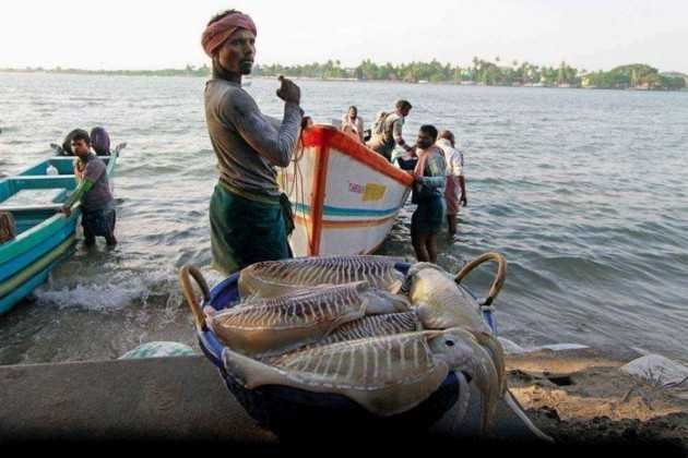 Fishing in troubled waters-fnbworld